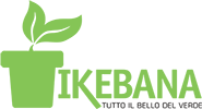 Ikebana Floricoltura
